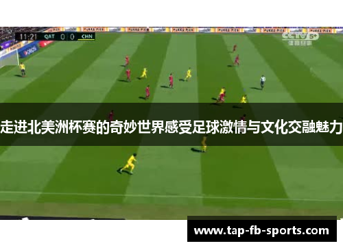 走进北美洲杯赛的奇妙世界感受足球激情与文化交融魅力