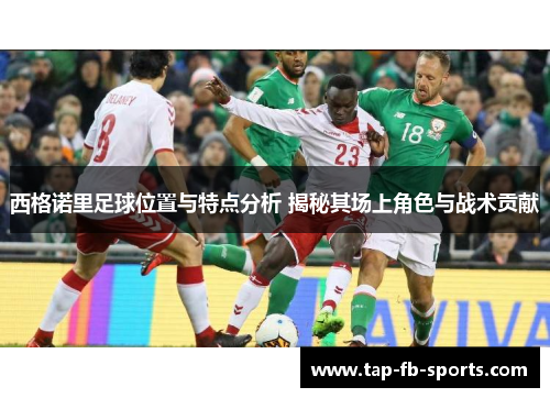 西格诺里足球位置与特点分析 揭秘其场上角色与战术贡献