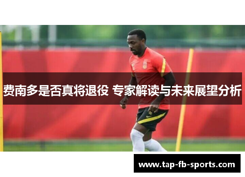 费南多是否真将退役 专家解读与未来展望分析